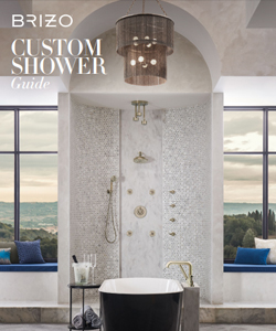 Brizo Custom Shower